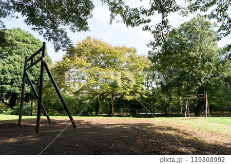 野川公園のターザンロープ　秋晴れの青空　東京都三鷹市大沢 119808992