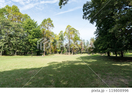 野川公園を広場で遊ぶ 秋晴れの青空 東京都三鷹市大沢 野川公園を広場で遊ぶ 秋晴れの青空 東京都三鷹市大沢 119808996