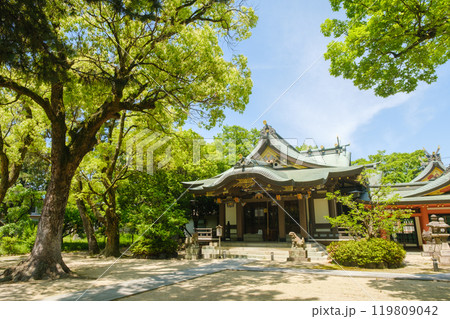 日本の神社の境内　枚方市　山田神社　 119809042