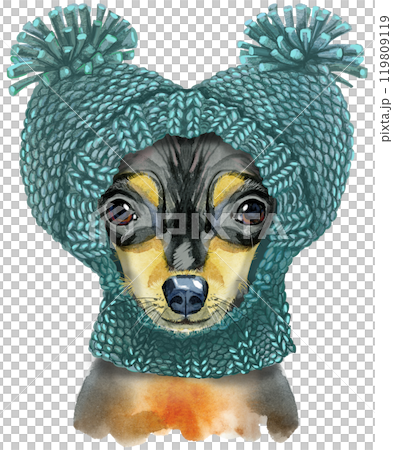 Watercolor portrait of toy terrier in green hat. Watercolor illustration Watercolor portrait of toy terrier in green hat. Watercolor illustration 119809119