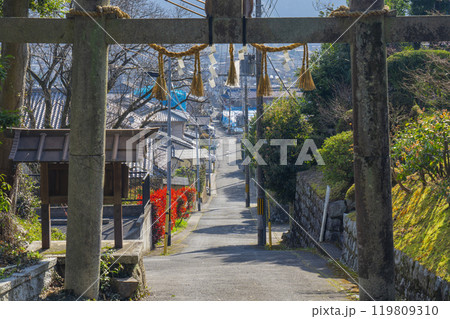 山科神社　鳥居から続く参道（京都府京都市山科区西野山岩ヶ谷町） 119809310