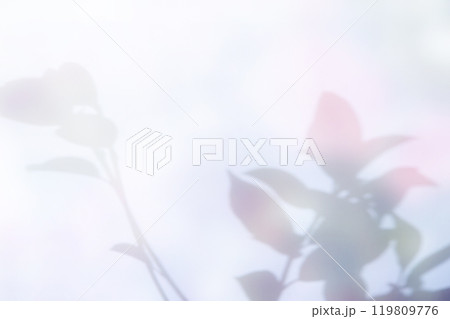 Colorful plant shadow background, cover image 119809776