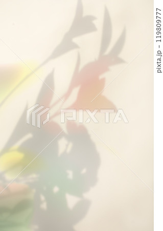 Colorful plant shadow background, cover image 119809777