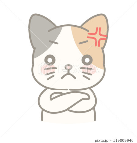 怒っている三毛猫のイラスト 119809946