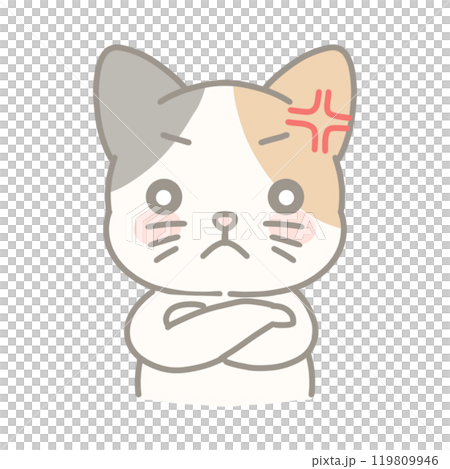 怒っている三毛猫のイラスト 119809946