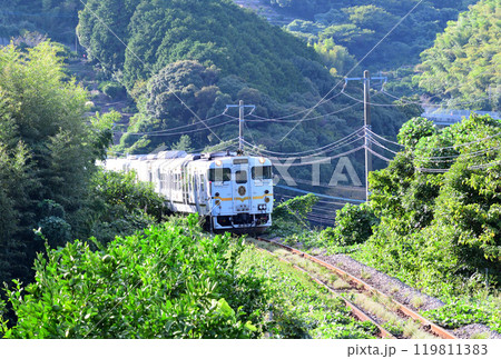 ふたつ星4047 119811383