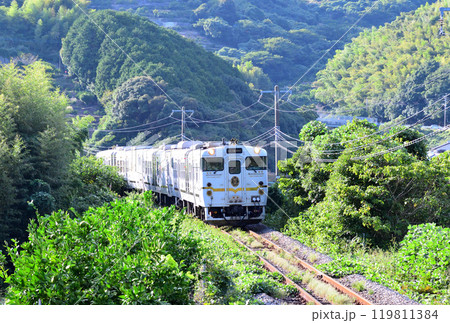 ふたつ星4047 119811384