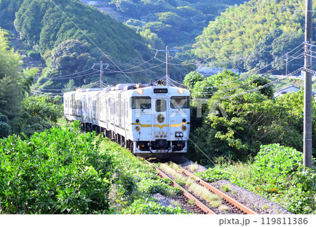 ふたつ星4047 119811386