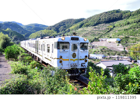 ふたつ星4047 119811395