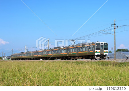 【JR東日本】211系3000番台と田園風景(両毛線:駒形〜伊勢崎) 【JR東日本】211系3000番台と田園風景(両毛線:駒形〜伊勢崎) 119812320