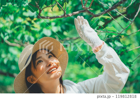 樹木と農家 樹木と農家 119812818
