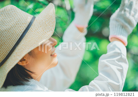 樹木と農家 119812821