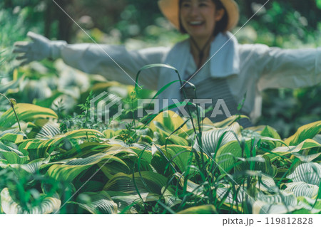 ギボウシリーフと花農家 119812828
