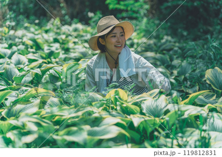 ギボウシリーフと花農家 119812831