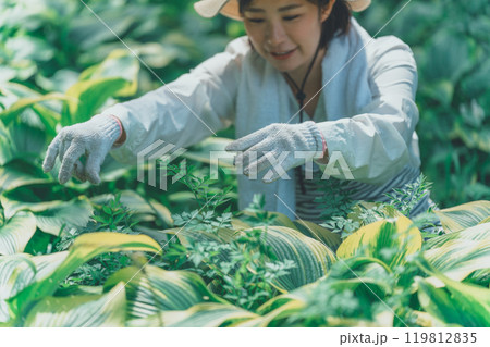 ギボウシリーフと花農家 ギボウシリーフと花農家 119812835