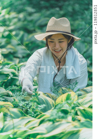 ギボウシリーフと花農家 119812851