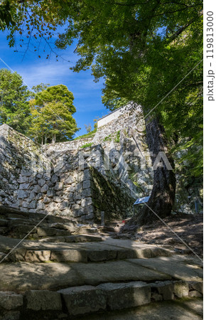 岡山県備中松山城 岡山県備中松山城 119813000
