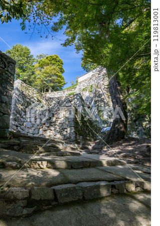 岡山県備中松山城 119813001