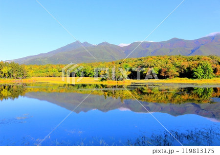 北海道紀行 9月下旬の知床五湖 紅葉の知床五湖 北海道紀行 9月下旬の知床五湖 紅葉の知床五湖 119813175