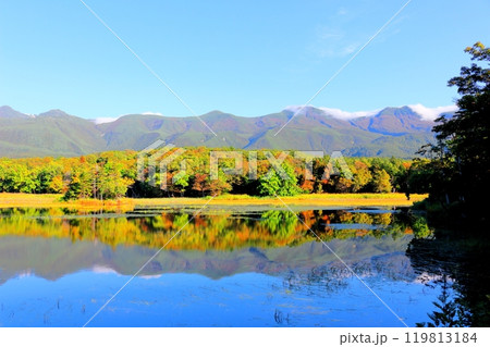 北海道紀行　　　9月下旬の知床五湖　　　紅葉の知床五湖 119813184