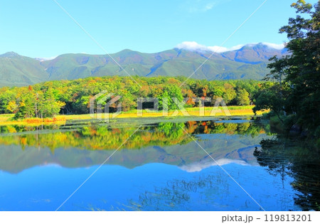 北海道紀行 9月下旬の知床五湖 紅葉の知床五湖 北海道紀行 9月下旬の知床五湖 紅葉の知床五湖 119813201