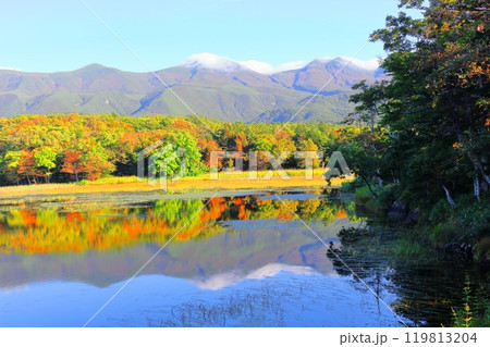 北海道紀行　　　9月下旬の知床五湖　　　紅葉の知床五湖 119813204