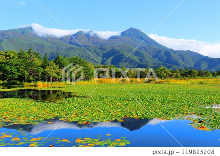 北海道紀行 9月下旬の知床五湖 紅葉の知床五湖 北海道紀行 9月下旬の知床五湖 紅葉の知床五湖 119813208