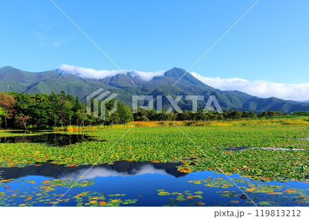 北海道紀行　　　9月下旬の知床五湖　　　紅葉の知床五湖 119813212