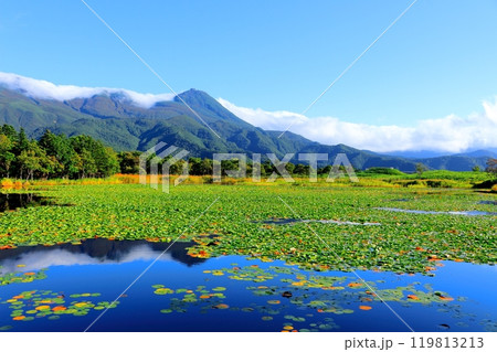 北海道紀行　　　9月下旬の知床五湖　　　紅葉の知床五湖 119813213