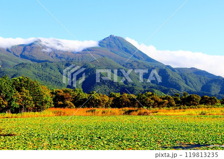 北海道紀行　　　9月下旬の知床五湖　　　紅葉の知床五湖 119813235