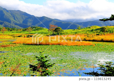 北海道紀行　　　9月下旬の知床五湖　　　紅葉の知床五湖 119813245