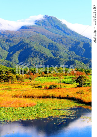 北海道紀行 9月下旬の知床五湖 紅葉の知床五湖 北海道紀行 9月下旬の知床五湖 紅葉の知床五湖 119813267