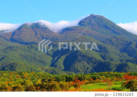 北海道紀行　　　9月下旬の知床五湖　　　紅葉の知床五湖 119813283
