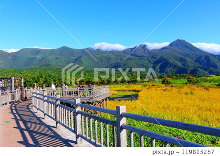 北海道紀行　　　9月下旬の知床五湖　　　紅葉の知床五湖 119813287