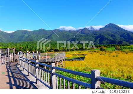 北海道紀行　　　9月下旬の知床五湖　　　紅葉の知床五湖 119813288