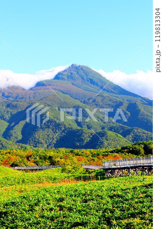 北海道紀行　　　9月下旬の知床五湖　　　紅葉の知床五湖 119813304