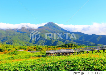 北海道紀行　　　9月下旬の知床五湖　　　紅葉の知床五湖 119813305
