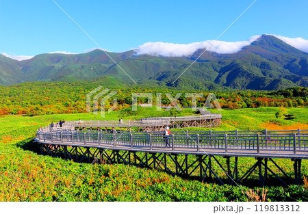 北海道紀行 9月下旬の知床五湖 紅葉の知床五湖 北海道紀行 9月下旬の知床五湖 紅葉の知床五湖 119813312