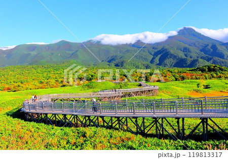 北海道紀行　　　9月下旬の知床五湖　　　紅葉の知床五湖 119813317