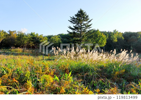 北海道紀行　　　知床自然センター展望台とフレペの滝 119813499