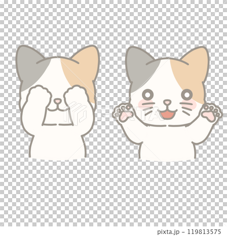 一隻三色貓玩躲貓貓的插圖 119813575