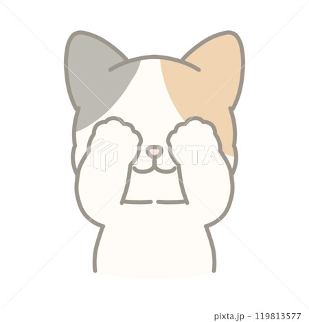 いないいないする三毛猫のイラスト 119813577