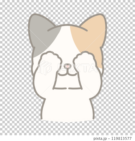 いないいないする三毛猫のイラスト 119813577
