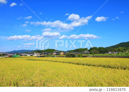 黄金色に実った田んぼと飛鳥寺 黄金色に実った田んぼと飛鳥寺 119813870