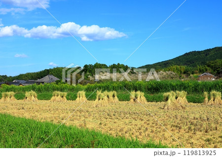 飛鳥寺と稲架掛けのある風景 119813925