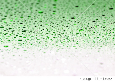 Water droplets on green and white gradient color background. Water droplets concept 119813962