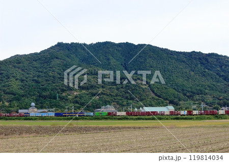 近江八幡市の風景 繖山と麓の建物と貨物列車 近江八幡市の風景 繖山と麓の建物と貨物列車 119814034