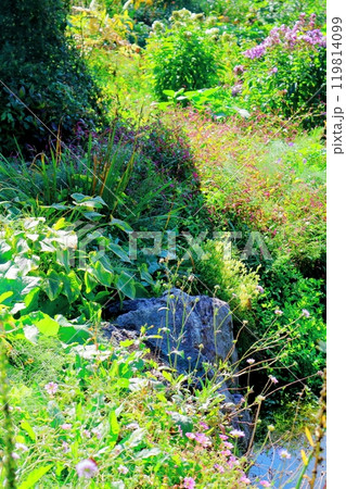 北海道紀行　　　9月下旬の上野ファーム　前編　　　紅葉の上野ファーム 119814099