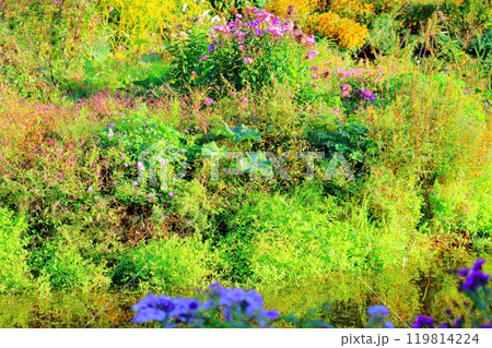 北海道紀行　　　9月下旬の上野ファーム　前編　　　紅葉の上野ファーム 119814224