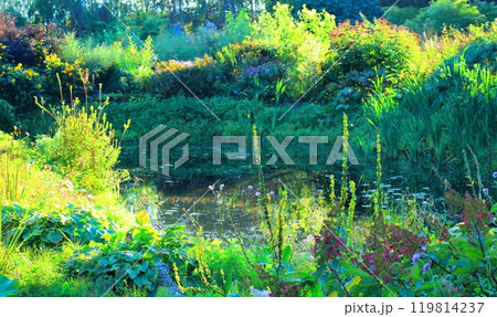 北海道紀行 9月下旬の上野ファーム 前編 紅葉の上野ファーム 北海道紀行 9月下旬の上野ファーム 前編 紅葉の上野ファーム 119814237